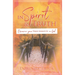 In Spirit & Truth: Discover Your True Identity in God