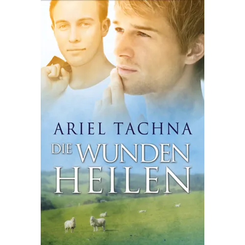 Die Wunden Heilen: Volume 5 (New Edition, New)