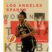 The Story of the Los Angeles Sparks: The Wnba: A History of Women's Hoops: Los Angeles Sparks