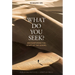What Do You Seek?: Encountering the Heart of the Gospel