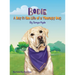 Bodie: A Day in the Life of a Therapy Dog