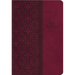 Study Bible-KJV