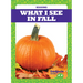 What I See in Fall
