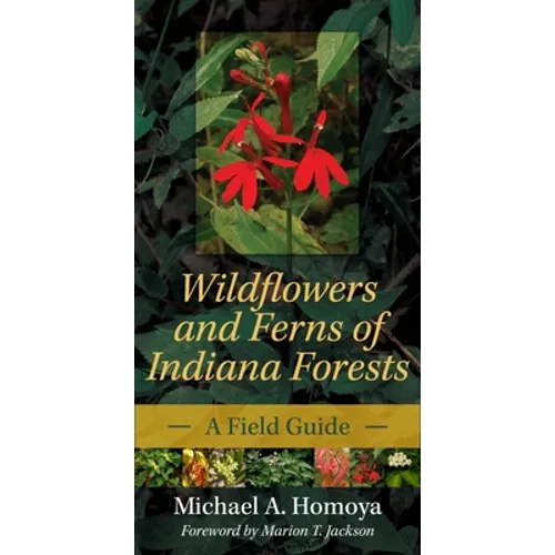 Wildflowers and Ferns of Indiana Forests: A Field Guide