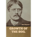 Growth of the Soil