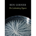 The Lichtenberg Figures