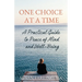 One Choice at a Time: A Practical Guide to Peace of Mind and Well-Being