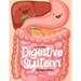 A Tour Of The Digestive System