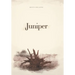 Juniper