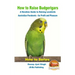 How to Raise Budgerigars - A Newbie's Guide to Raising Lovebirds - Australian Parakeets - for Profit and Pleasure