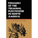 Foragers of the Terminal Pleistocene in North America