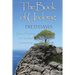 The Book of Undoing: Direct Pointing to Nondual Awareness