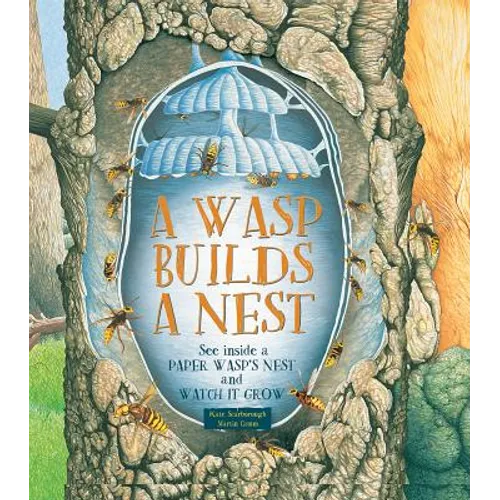 A Wasp Builds a Nest: See Inside a Paper Wasp's Nest and Watch It Grow