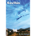 Gavilan