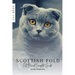 Scottish Fold: Cat Breed Complete Guide