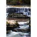 What the Rivers Gather: Selected Poems