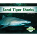Sand Tiger Sharks