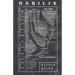 Habilis