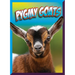 Pygmy Goats