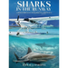 Sharks in the Runway