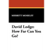 David Lodge: How Far Can You Go?