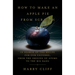 How to Make an Apple Pie from Scratch: In Search of the Recipe for Our Universe, from the Origins of Atoms to the Big Bang