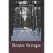 Brain Scraps
