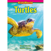 Turtles