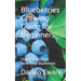 Blueberries Growing Guide for Beginners: Choosing the Right Varieties of Blueberries
