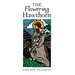 The Flowering Hawthorn