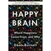 Happy Brain: Where Happiness Comes From, and Why