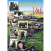 Autobiology of a Vet: The life story of a practising veterinary surgeon - from the suburbs of South London to rural Kent via Africa