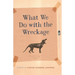 What We Do with the Wreckage: Stories
