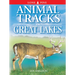 Animal Tracks of the Great Lakes