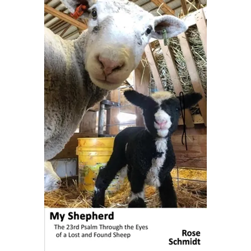 My Shepherd: The 23rd Psalm Through the Eyes of a Lost-&-Found Sheep