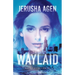 Waylaid: A Christian Romantic Suspense