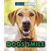 When Dogs Smile