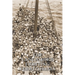 The Lancashire Fighting Territorials