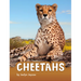 Cheetahs