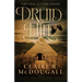 Druid Hill: A Veil of Time Novel