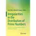 Irregularities in the Distribution of Prime Numbers: From the Era of Helmut Maier's Matrix Method and Beyond