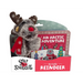 Snap & Snuggle: An Arctic Adventure: My Cuddly Reindeer