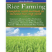 Rice Farming complete with methods to increase rice crop yield