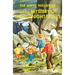 The Happy Hollisters and the Mystery of the Midnight Trolls