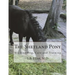 The Shetland Pony: His Breeding, Care and Training