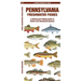 Pennsylvania Freshwater Fishes