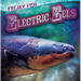 Electric Eels