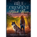 Blue Crescent Black Moon: Book 1 of The Sullivan Boys Trilogy