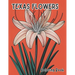 Texas Flowers Coloring Book: Blossoms of the Lone Star State Illustrations inspired by native Texas flowers