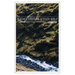 The Teacher's Outline & Study Bible: 1 Timothy